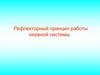Рефлекторный принцип работы нервной системы