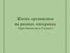Жизнь организмов на разных материках