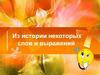 Из истории некоторых слов и выражений