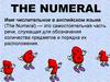 The numeral. Числительные