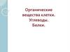Органические вещества клетки