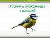 Как нарисовать синицу