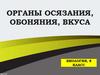 Органы осязания, обоняния, вкуса
