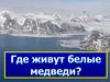 Где живут белые медведи