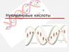Нуклеиновые кислоты