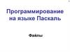 Программирование на языке Паскаль. Файлы