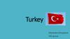 Turkey. Geographical position