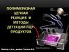 Полимеразная цепная реакция и методы детекции ПЦР-продуктов
