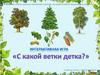 Интерактивная игра "С какой ветки детка?"
