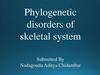 Phylogenetic disorders of skeletal system