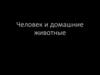 Человек и домашние животные