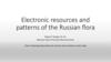 Electronic resources and patterns of the Russian flora