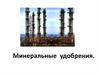 Минеральные удобрения