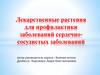 Лекарственные растения для профилактики сердечно-сосудистых заболеваний