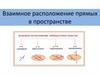 Взаимное расположение прямых в пространстве