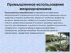 Промышленное использование микроорганизмов