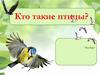 Кто такие птицы?