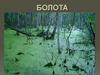 Болота. Мифология