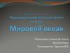 Мировой океан