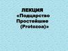 Подцарство Простейшие (Protozoa)