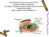 Человеческий глаз как оптическая система