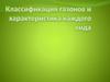Классификация газонов и характеристика каждого вида,