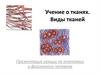 Учение о тканях. Виды тканей