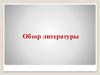 Исследовательская работа. Обзор литературы