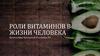 Роль витаминов в жизни человека