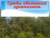Среды обитания организмов