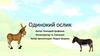 Одинокий ослик