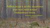 Рубки ухода в особо защитных участках леса вокруг глухаринных токов