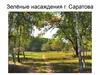 Зелёные насаждения г. Саратова