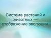 Система растений и животных — отображение эволюции