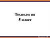Влажно-тепловая обработка ткани и выкройка. 5 класс