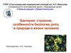 Бактерии. Общая биология
