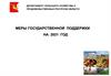 Меры государственной поддержки на 2021 год