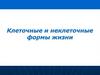 Клеточные и неклеточные формы жизни