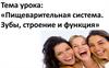 Пищеварительная система. Зубы, строение и функция