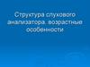 Слуховой анализатор. Структура слухового анализатора, возрастные особенности