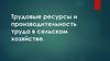 Трудовые ресурсы и производительность труда в сельском хозяйстве