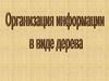 Организация мнирормации ванде дерева