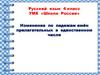 Изменение по падежам имён прилагательных в единственном числе