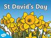 St. David’s Day