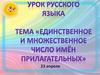 Единственное и множественное число имён прилагательных