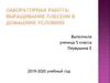 Выращивание плесени в домашних условиях. 5 класс