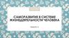 Саморазвитие в системе жизнедеятельности человека