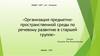 Организация предметно-пространственной среды по речевому развитию в старшей группе