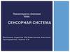 Сенсорная Система