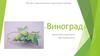 Виноград. ГБОУ ДО «Севастопольская станция юных техников»